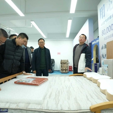 苏州食品行业协会2026新春团拜会在三六六教育集团成功举办