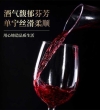 温碧霞自创IRENENA红酒国产贺兰山酒庄葡萄酒